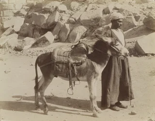 Bourier og Bouriquer, Egypten