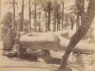 Statue af Ramses ved Saqqara, ca. 1870