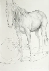 Horse at Coolmore, 1990 (kul på papir)
