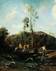Skyerne