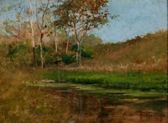 Stillestående vand