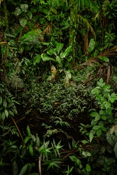 Mantiqueira XLIV, 2015 (digitalt fotografi)