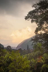 Serra dos Órgãos VIII, Petrópolis, Rio de Janeiro, Brasilien, 2025 (fotografi)