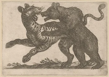 En bjørn, der kæmper mod en tiger Kampdyr (serietitel)