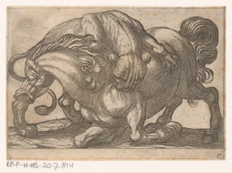 En løvinde angriber en hest Kampdyr (serietitel)