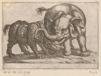 Et næsehorn kæmper mod en elefant Kampdyr (serietitel)