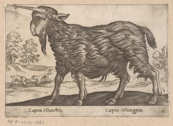 Ged med ét horn Capra Silvestris/ Capra Selvaggia (titel på objekt) Dieren en fablewezens (serietitel) Ny samling af verdens mest nysgerrige dyr (serietitel)