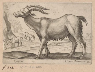 Ædelstene Caprax/ Cerua Belzuaria (titel på objekt) Dieren en fablewezens (serietitel) Ny samling af verdens mest nysgerrige dyr (serietitel)