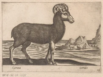 Ædelstene Cerinis / Ceruio (titel på objekt) Dieren en fabelwezens (serietitel) Nova-samling af de mest nysgerrige dyr i verden (serietitel)