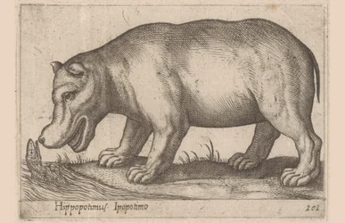 Flodhest Hippopotamus/Ippopotamo (titel på objekt) Dyr og mytiske væsner (serietitel) Nova raccolta de li animali piu curiosi del mondo (serietitel)