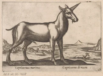 Stenbukken som havdyr Capricornus marinus/ Capricorno di mare (titel på objektet) Dyr og mytiske væsner (serietitel) Nova raccolta de li animali piu curiosi del mondo (serietitel)
