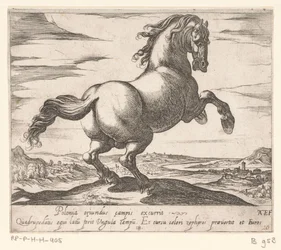 Steigerend paard naar rechts gewend Paarden uit verschiedelden landen (serietitel) Med disse ledere vil du blive fejret som en leder med en viroru-mund.