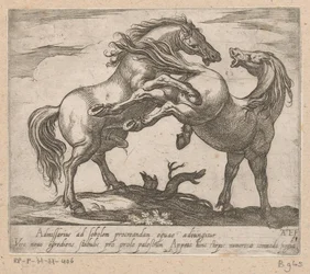 Twee parende paarden Paarden uit verschiedelden landen (serietitel) Med disse ledere vil du blive fejret som en leder med en viroru-mund.