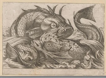 To kampfisk Kampdyr (serietitel)