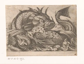 To kampfisk Kampdyr (serietitel)