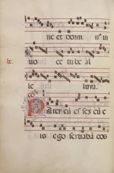 Dekoreret Initial P