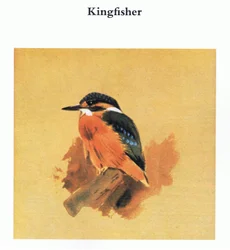 Kingfisher, pub. af Book Club Associates, 1972