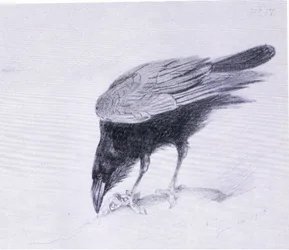 Raven, pub. af Book Club Associates