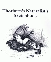 Titelblad (Stoat og Gamebird), pub. af Book Club Associates