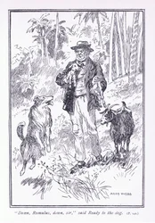 Ned Romulus, nede sir, sagde Klar til hunden, 1900-tallet