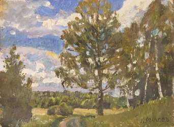 Sommer Landskab