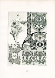 Marguerit-ornamenter i grønt farveskema (litografi)