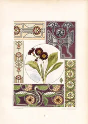 Primula-motiver og variationer af blomsterornamenter (litografi)