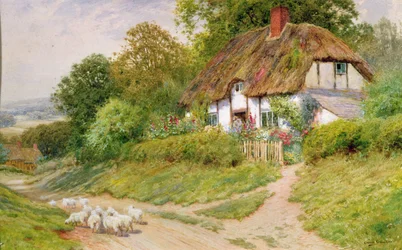 Holder øje med fårene