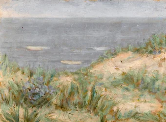 Havudsigt med klitter, blomstrende søgræs, ca. 1900