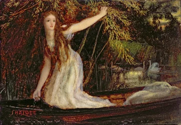 Lady of Shalott