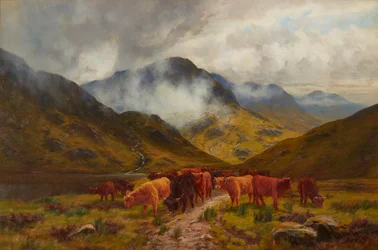 Highland Cattle (olie på lærred)