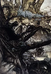 Illustration af Arthur RACKHAM (1867-1939) til Drømmen om en sommernat af William SHAKESPEARE