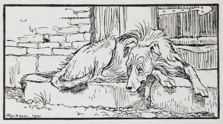 Illustration fra den gamle sultan af en hund.