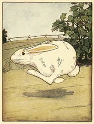Peter holdt aldrig op med at løbe, fra The Tale of Peter Rabbit, pub. 1916 (farve litho)