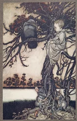 Læg hans mærkelige sag foran Old Solomon Caw, fra Peter Pan i Kensington Gardens af J M Barrie (1860 - 1937), pub. 1906