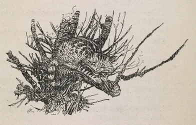 Cheshire-katten i et træ