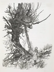Cheshire-katten i et træ ser ned på Alice