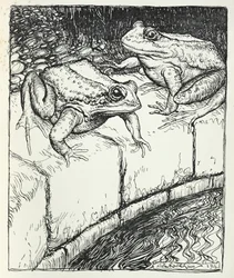 Frøerne og brønden, illustration fra 