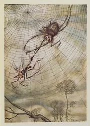 Edderkoppen og fluen, illustration fra Æsops fabler, udgivet af Heinemann, 1912