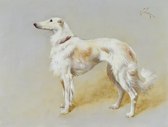 En Borzoi-hund (olie på lærred)