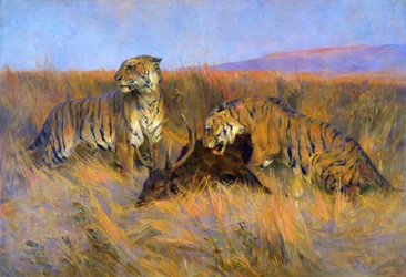 Tigers at Kill (olie på lærred)