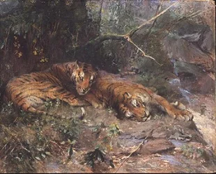 Tigre hviler ved en å