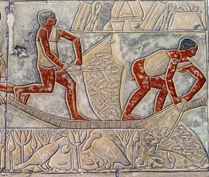 Egyptisk kunst: fiskeri ved udmattelsen. Kollegiet ligner Mererukas mastaba.