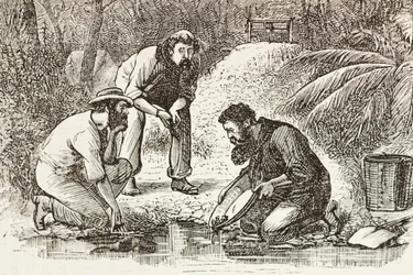 Australien (1880). Guldgravernes liv i Botany Bay (grundlagt i 1788). Gravering. Privat samling
