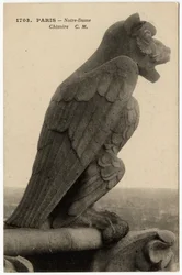 Gargoyle eller chimere på katedralen Notre Dame de Paris, bygget mellem 1163 og det 14. århundrede - Postkort, Selva-samlingen