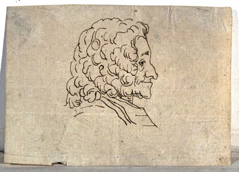 Voltaire, tegning
