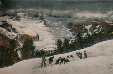 Sneboldkamp i Paradise Valley midt om sommeren, Mount Rainier Nationalpark, ca. 1916