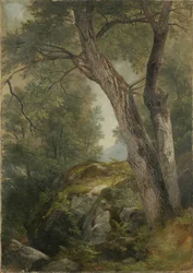 Butternuttræ ved Hague, Lake George, New York, 1862