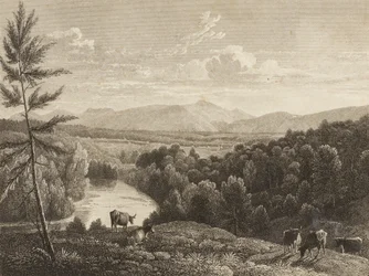 Catskill-bjergene