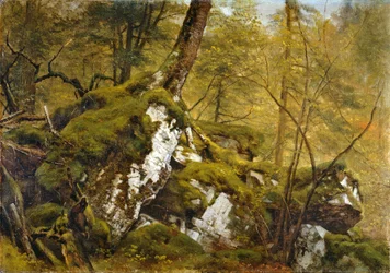 Studie af et træinteriør, c.1855